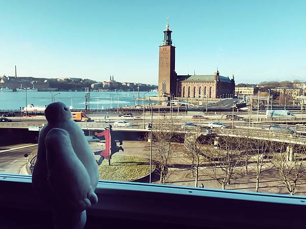 IMG_1537.JPG IMG_1537.JPG