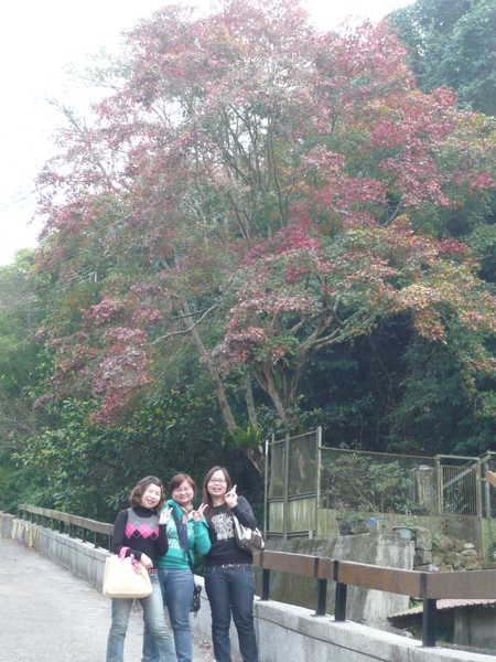P1020777.JPG