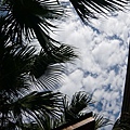 P1020843.JPG