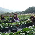 P1020879.JPG