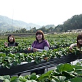 P1020880.JPG