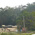 P1020885.JPG