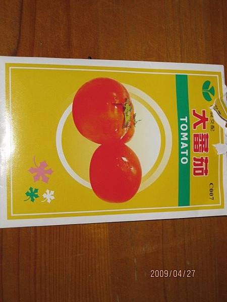 大蕃茄種子.JPG