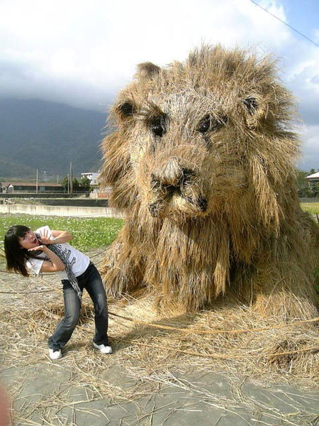 好大的獅子