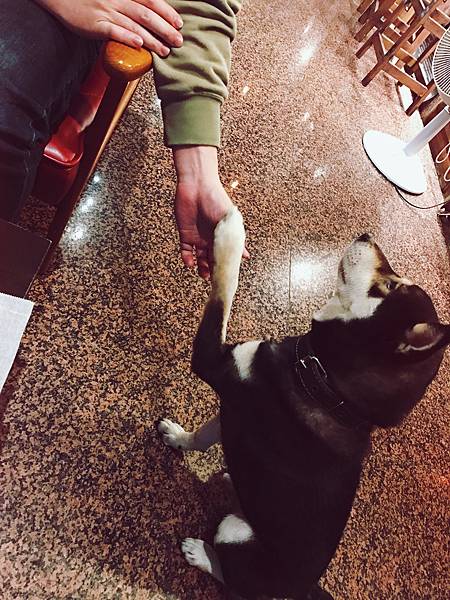 IMG_9601.JPG IMG_9601.JPG