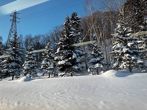 北海道五天四夜孝親之旅 Day 2銀河瀑布、流星瀑布＞旭山動