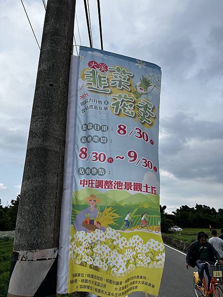 2025大溪韭菜花季 2025大溪韭菜花季