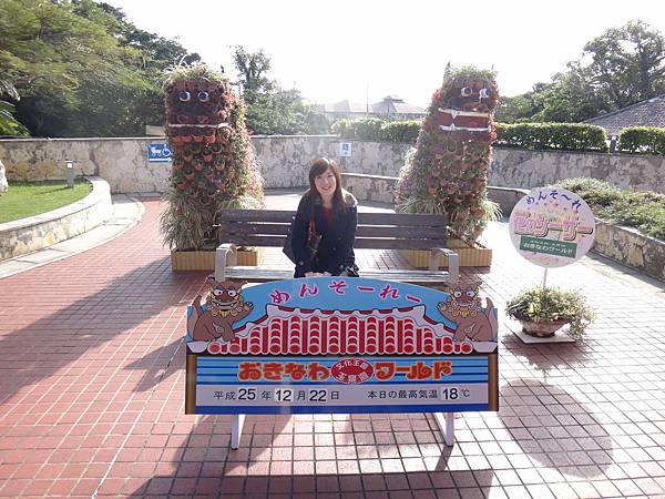 DSC01244 DSC01244