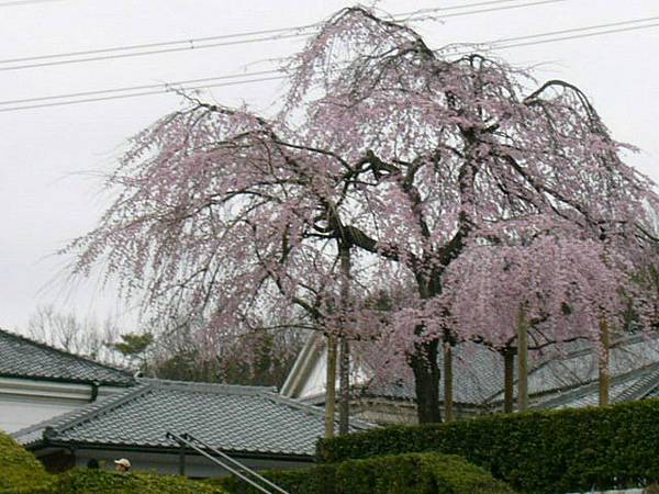 犬山-明治村