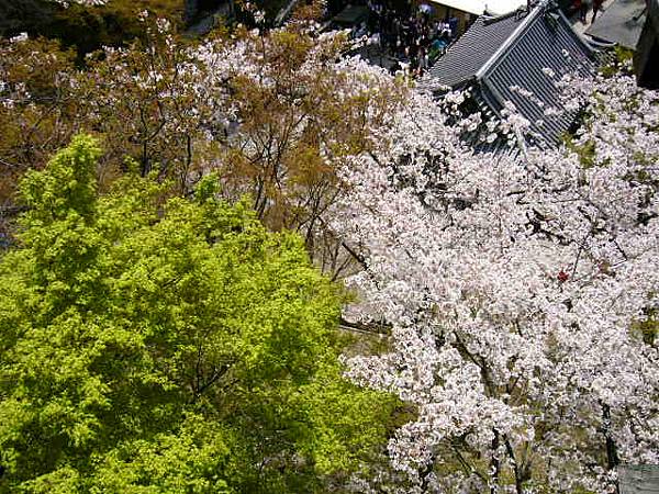 清水寺