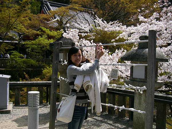 京都-清水寺