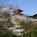 京都-清水寺