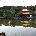 京都-金閣寺