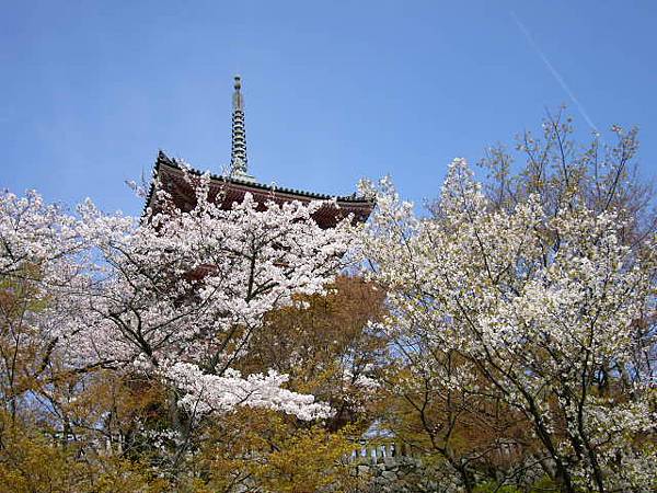 京都 -清水寺