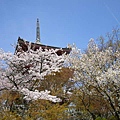 京都 -清水寺