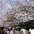 京都 -清水寺