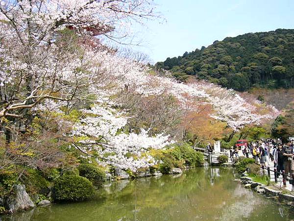 京都 -清水寺