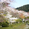 京都 -清水寺