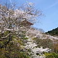 京都 -清水寺