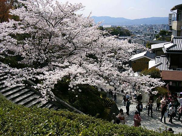 京都 -清水寺