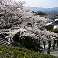 京都 -清水寺