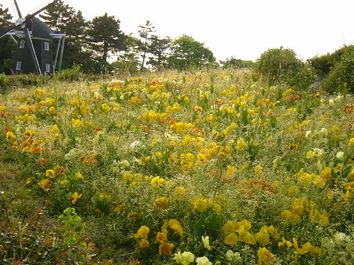 名城公園