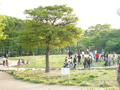 名城公園