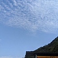 陌上冬梅_200405_0013.jpg