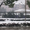 雪 103.jpg