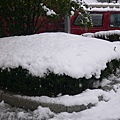 雪 089.jpg