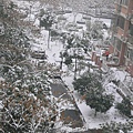 雪 056.jpg