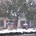 雪 101.jpg