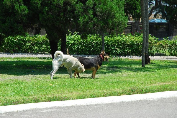 DSC_0012.jpg DSC_0012.jpg