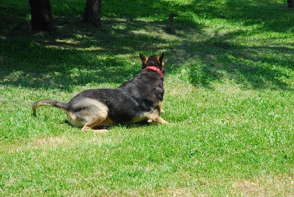 DSC_0013.jpg DSC_0013.jpg