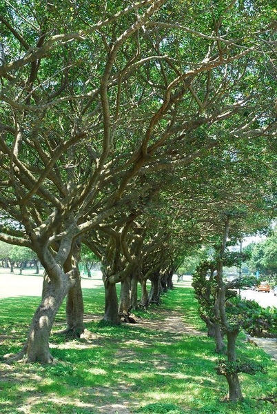 DSC_0014.jpg DSC_0014.jpg