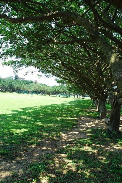 DSC_0021.jpg DSC_0021.jpg