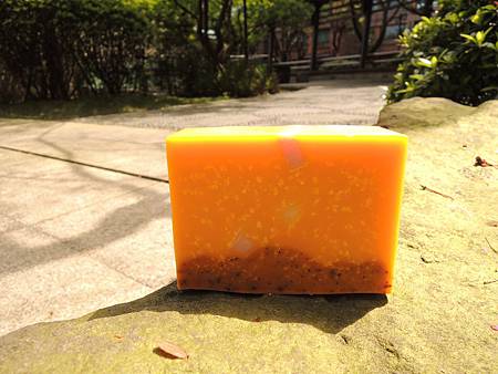 陽光棕櫚皂