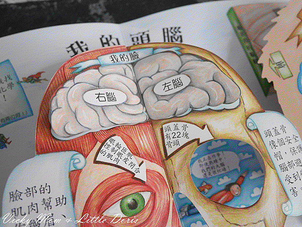 Webp.net-gifmaker (11).gif