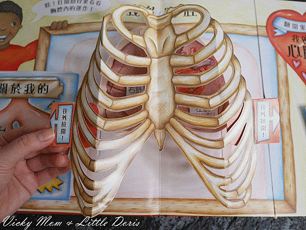 Webp.net-gifmaker (13).gif