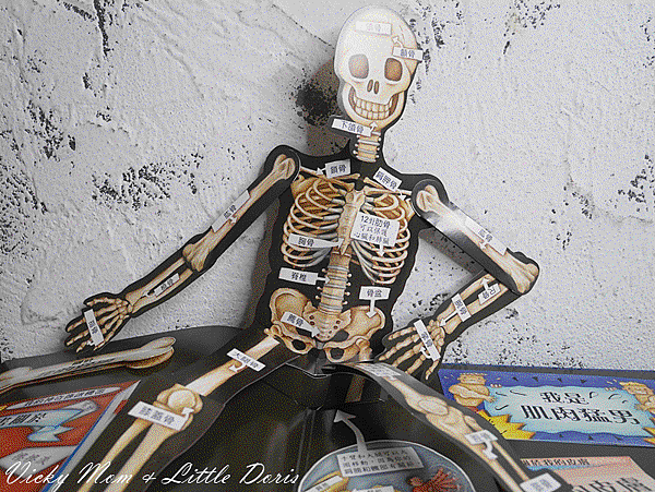 Webp.net-gifmaker (15).gif