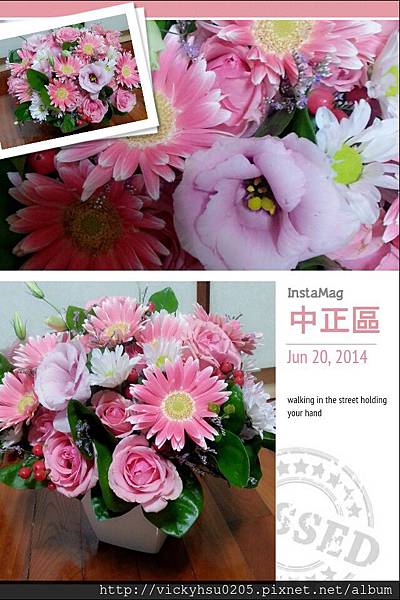 2014.06.20 盆花