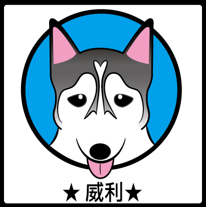 威利.jpg