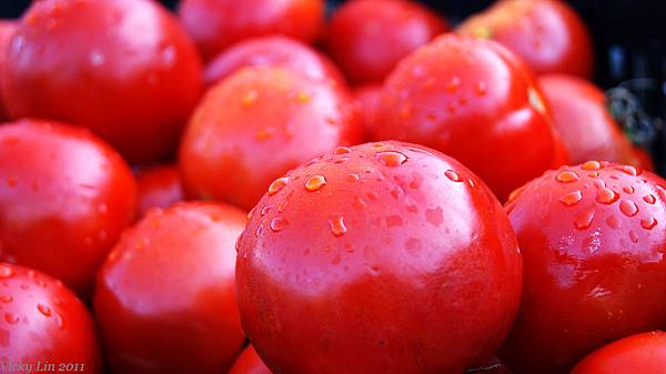DSC07438.jpg 南投-東埔農特產: 有機番茄