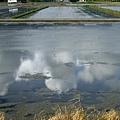 DSC03587.jpg
