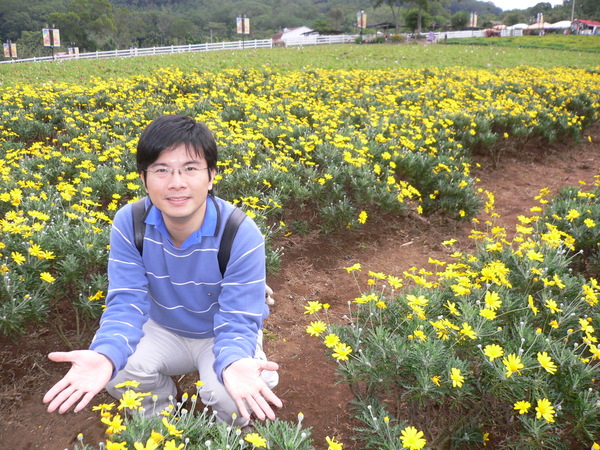 拔拔在雛菊花堆中