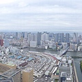 P1420976.JPG