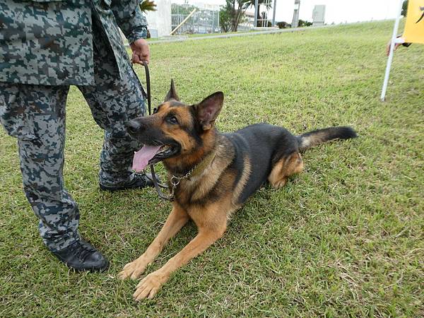 沖繩 遊 沖繩那霸基地航空祭 美ら島エアーフェスタ18 ひろすみの旅人誌 痞客邦