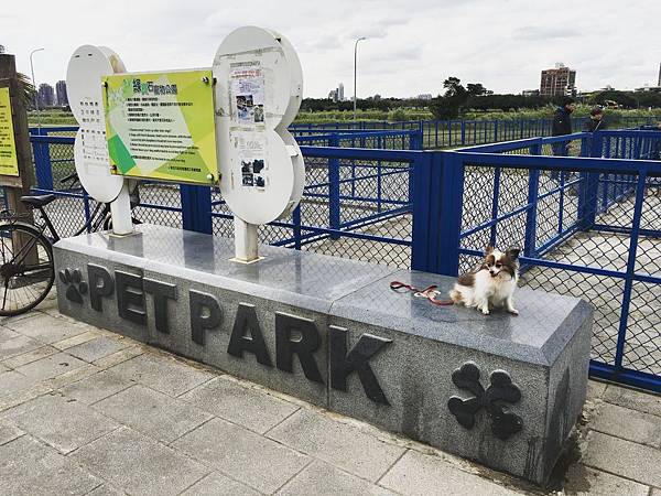 IMG_5047.jpg IMG_5047.jpg