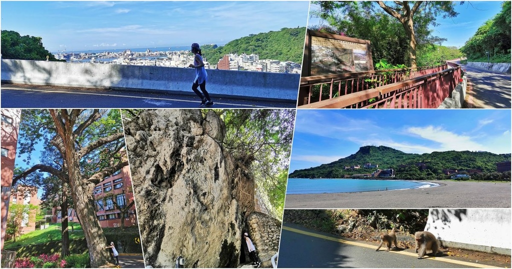 高雄,鼓山區,中山大學長城步道,健行,踏青,步道,市區健行踏青路線,高雄市忠烈祠,蛋板捲,西子灣海域中心,西子灣沙灘會館,中山大學百年神木,中山大學,國家自然公園管理處,柴山,忠烈祠,高雄戶外休閒