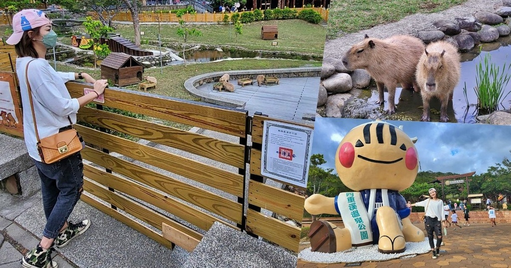 四重溪溫泉公園,溫泉季,水豚君,卡比園區,福安宮,屏東,日本浴衣,水豚,車城,屏東景點,車城景點,四重溪溫泉公園－卡比園區,四重溪,四重溪溫泉季,水豚君餵食秀,親子景